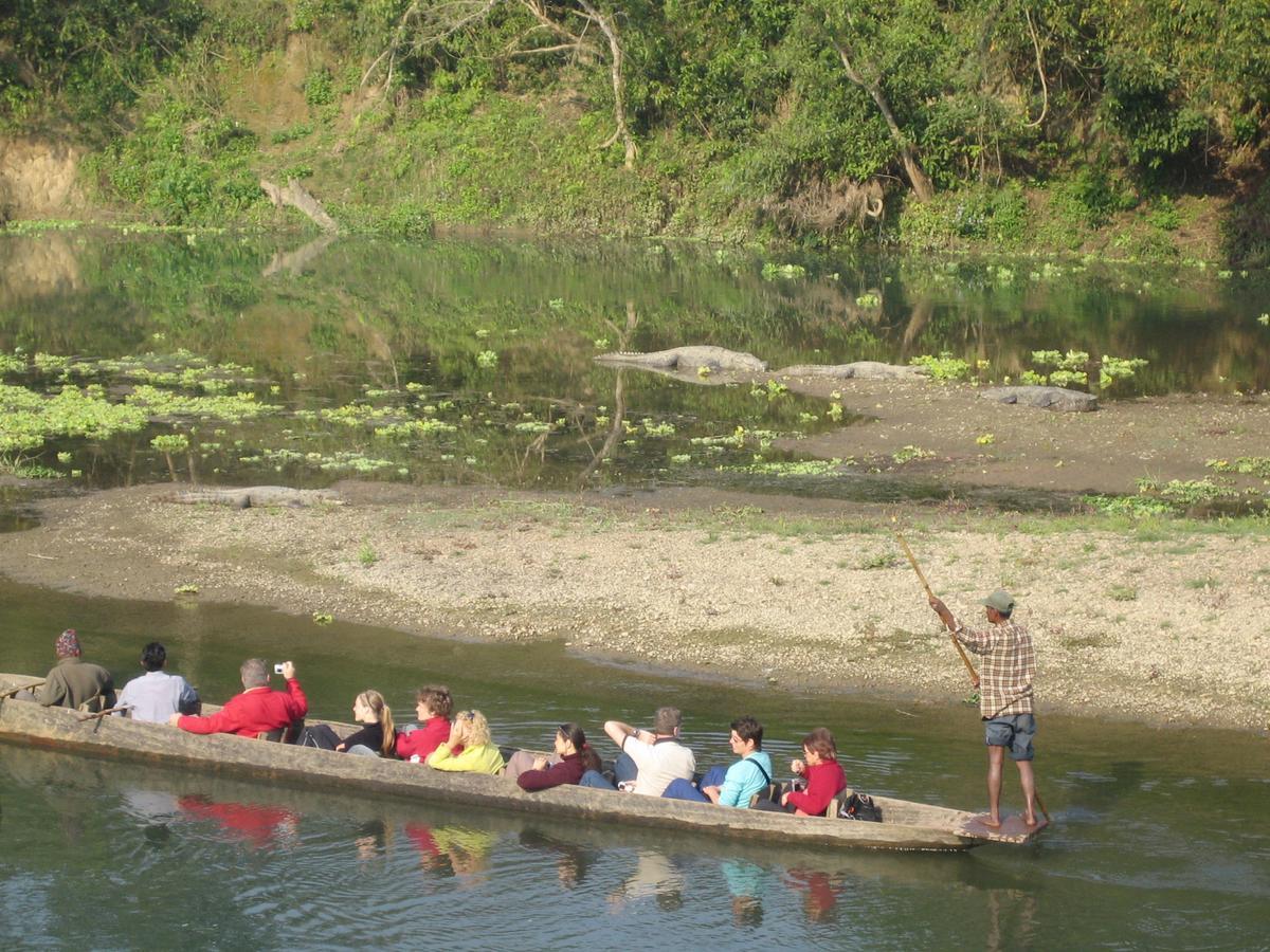 Rainbow Safari Resort Sauraha Exterior photo
