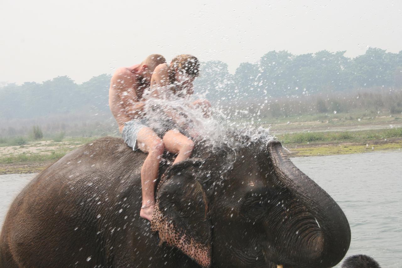 Rainbow Safari Resort Sauraha Exterior photo