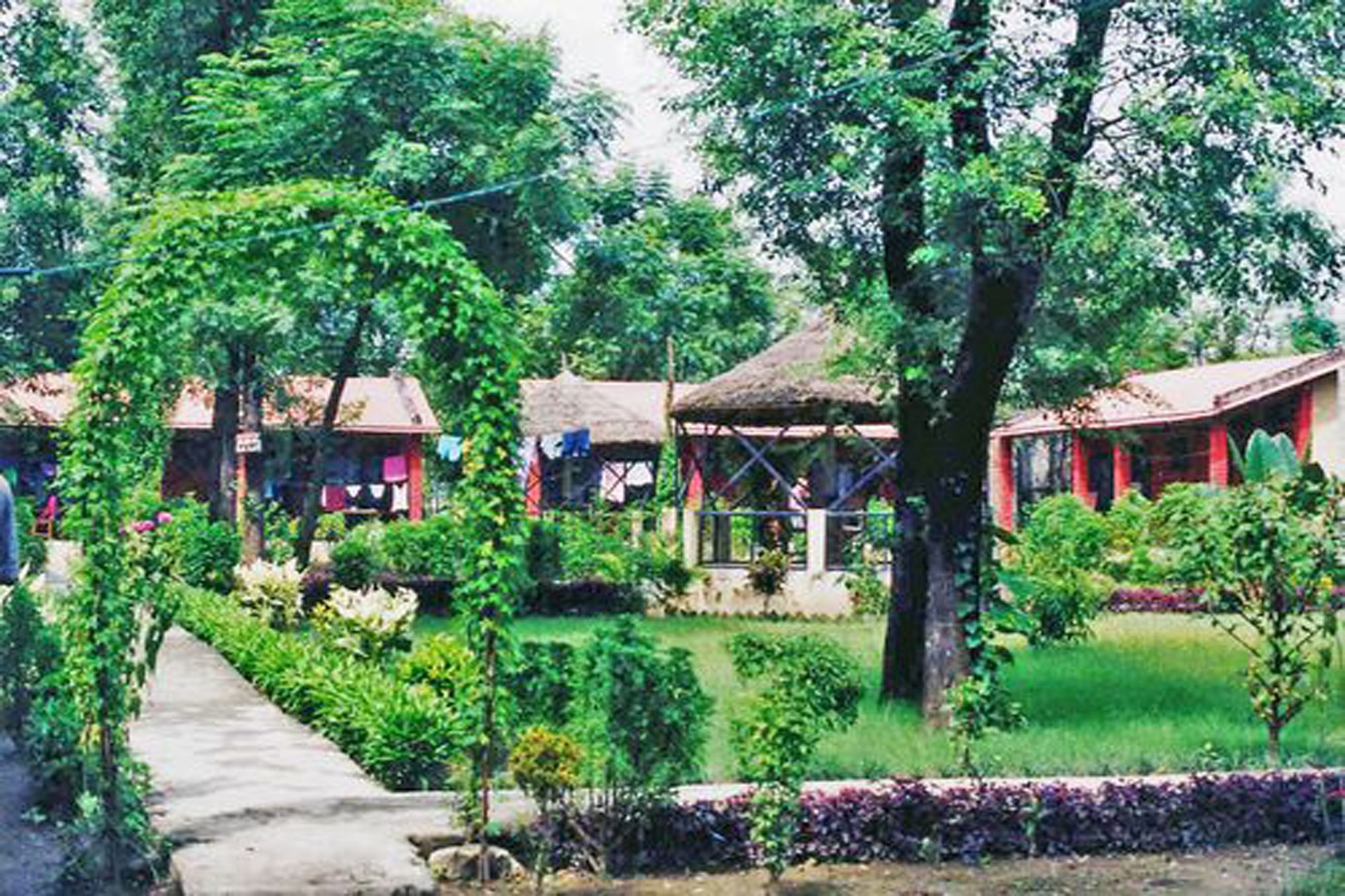 Rainbow Safari Resort Sauraha Exterior photo
